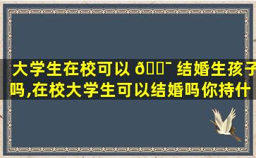 大学生在校可以 🐯 结婚生孩子吗,在校大学生可以结婚吗你持什么态度